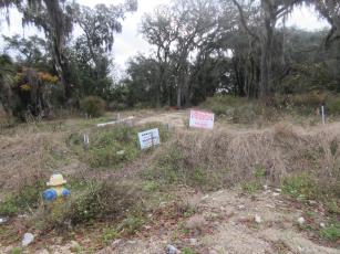 Amelia Bluff LLC was fined after it was discovered trees on the construction site that were protected by Fernandina Beach ordinances were removed. A mitigation plan has been submitted to the city by the developer. JULIA ROBERTS/NEWS-LEADER