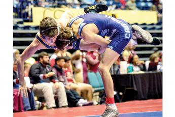 Nineteen Wildcat wrestlers placed in their weight classes last weekend as Camden County High placed two teams in the top five.