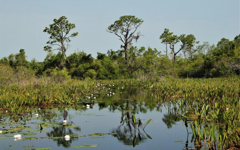 The Georgia House passed a bill that creates a three-year moratorium on accepting new applications for surface mining at Okefenokee National Wildlife Refuge.